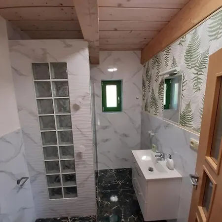 Zeleny Jelen - Horsky Apartman Stachy
