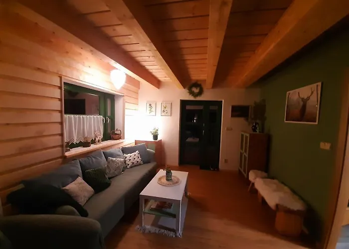 Zelený Jelen - Horský * Stachy